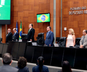 Max Russi destaca força da indústria mato-grossense em sessão solene na ALMT