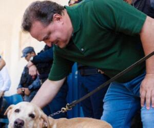 SunPet chega à 5ª edição com shows e arrecadação para cães e gatos de famílias carentes