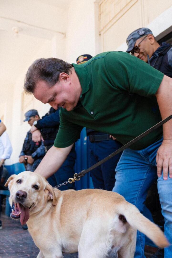 SunPet chega à 5ª edição com shows e arrecadação para cães e gatos de famílias carentes