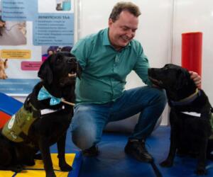 Max propõe criação de censo para mapear população de cães e gatos em MT